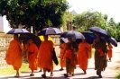 Buddyjscy mnisi w Luang Prabang - Laos